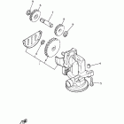 Royal Star Midnight Venture Масляный насос