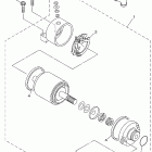 TT-R250 Стартер электрический
