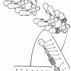 YZF 600R Клапана