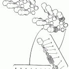 YZF 600R Клапана