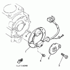 YX 600 Pickup coil governor