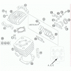 50 SENIOR ADVENTURE ENGINE (AC) Цилиндр,головка цилиндров