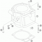 400 XC-W -EXC ENGINE Цилиндр