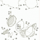 250 SX Кожух сцепления