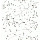 640 ADVENTURE Wiring harness 640 / 2005