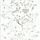 990 SUPERDUKE Wiring harness 990 / 2005