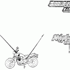 CB650SC Emblems @ labels