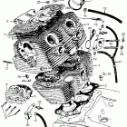 CL77 Цилиндр и головка цилиндра