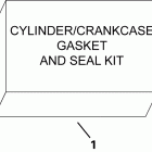 E30DRIIG Комплект прокладик и сальников