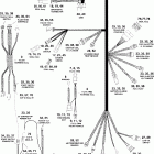 E30DPLSES Жгут Проводов
