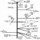 E40DRLSUM Электрический Жгут