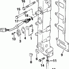 E70 PL4SSR 4-Stroke, Elec. Start, TNT, 20 IN. shaft Выпускной коллектор