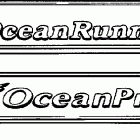 J200TLECM Accessory transom plate -- optional