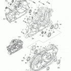 Quest XT Картер