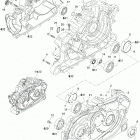 Quest Max Картер