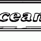 BJ200VXSIF elec start, TNT, 25 in shaft, wht, n/a usa Accessory transom plate - optional