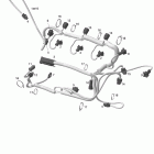 Sportster 4-TEC Жгут проводов двигателя