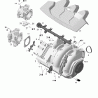 Challenger 180 4-TEC SC Впускной коллектор