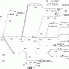 Sportster LE DI Жгут проводов двигателя
