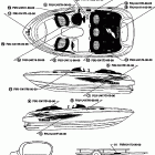 EXCITER 270-EXT1200X Наклейки