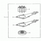 BF8AY XA Водяной насос, комплект крыльчатки