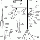 E30DRIIH Жгут Проводов