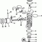 E150STLEIE Коленчатый вал & Поршень