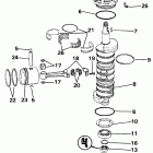 E155WTXCDR Коленчатый вал & Поршень