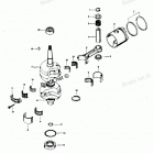 H0202H81M Crankshaft And Piston Group