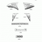 Brute Force 300 (KVF300-CDF) Decals(black)(cdf)(us)