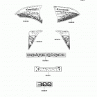 Brute Force 300 (KVF300-CCF) Decals(black)(ccf)