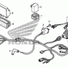 TRX250TE Wire harness (trx250te)