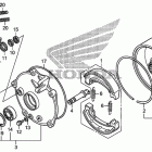 TRX250TM Rear brake drum
