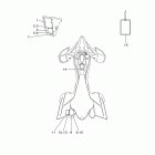 YFZ450R SPECIAL EDITION YFZ45RSEB Наклейки 1