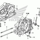 CRF110F Картер