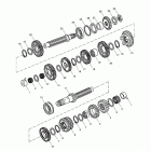 Tiger 1050 Transmission > eng no 536532