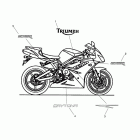 Daytona 675 R Decals - daytona 675r