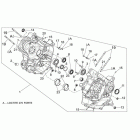 Dorsoduro 750 Картер 1
