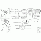 Dorsoduro 750 Электрика 1
