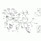 Scarabeo 50 2T E2 (Piaggio Engine) Электрическая система