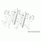 Scarabeo 250 Light E3 Передняя вилка 2