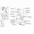Scarabeo 250 Light E3 Электрика 1