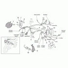 RSV 1000 Tuono Front electrical system
