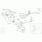 Scarabeo 50 Ditech Front electrical system