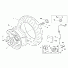 SR 50 H2O (Ditech E2) Заднее колесо - дисковый тормоз