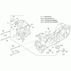 Leonardo 125-150 Картер