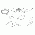 Pegaso 650 Электрика 2