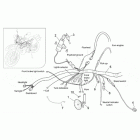 ETX 125 Электрика 1