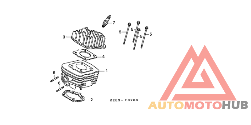 Cylinder/cylinder head