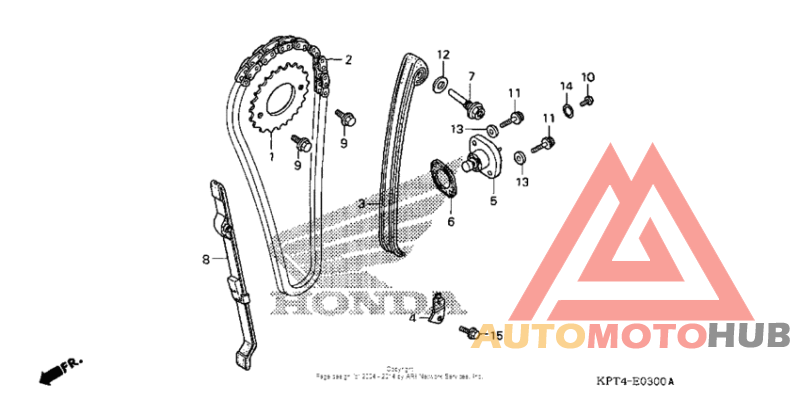 Cam chain + tensioner (1)